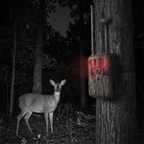 Caméra de chasse SENTINEL LINK