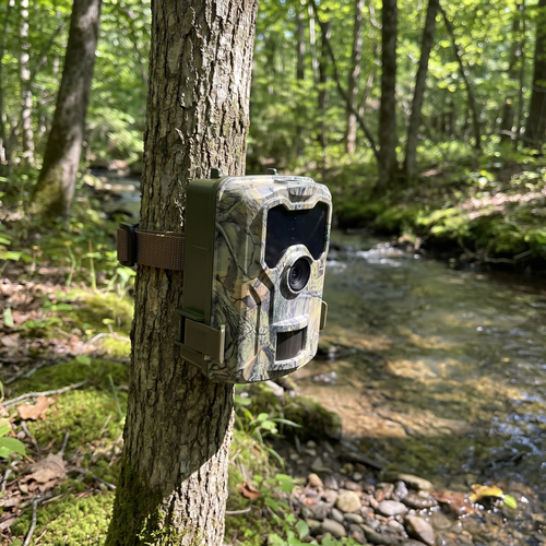 SENTINEL 4K camera mounted on tree beside forest stream